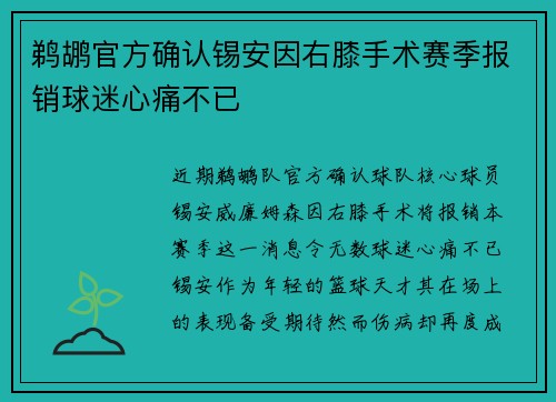 鹈鹕官方确认锡安因右膝手术赛季报销球迷心痛不已