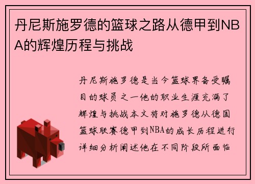 丹尼斯施罗德的篮球之路从德甲到NBA的辉煌历程与挑战