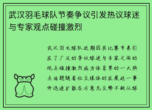 武汉羽毛球队节奏争议引发热议球迷与专家观点碰撞激烈