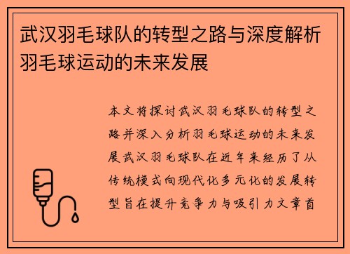 武汉羽毛球队的转型之路与深度解析羽毛球运动的未来发展