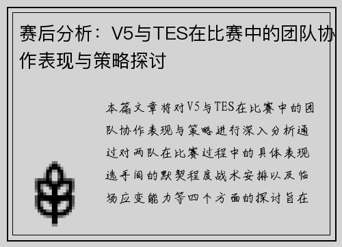 赛后分析：V5与TES在比赛中的团队协作表现与策略探讨